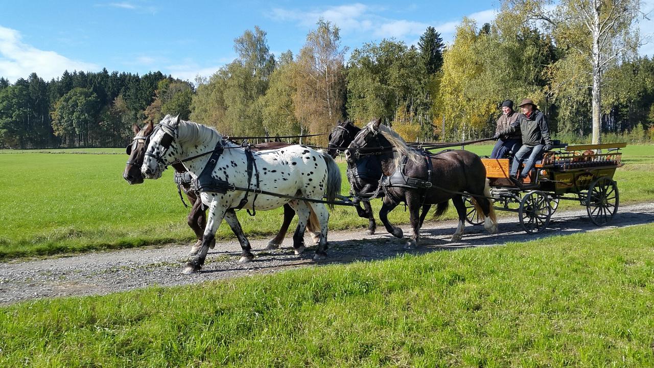 Hotel Alpenhof Bad Wörishofen Eksteriør billede
