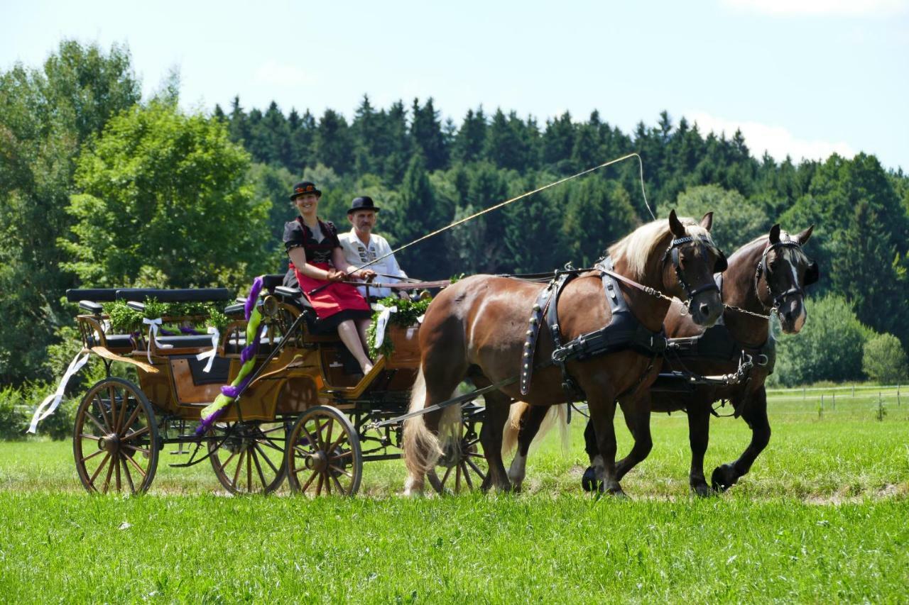 Hotel Alpenhof Bad Wörishofen Eksteriør billede