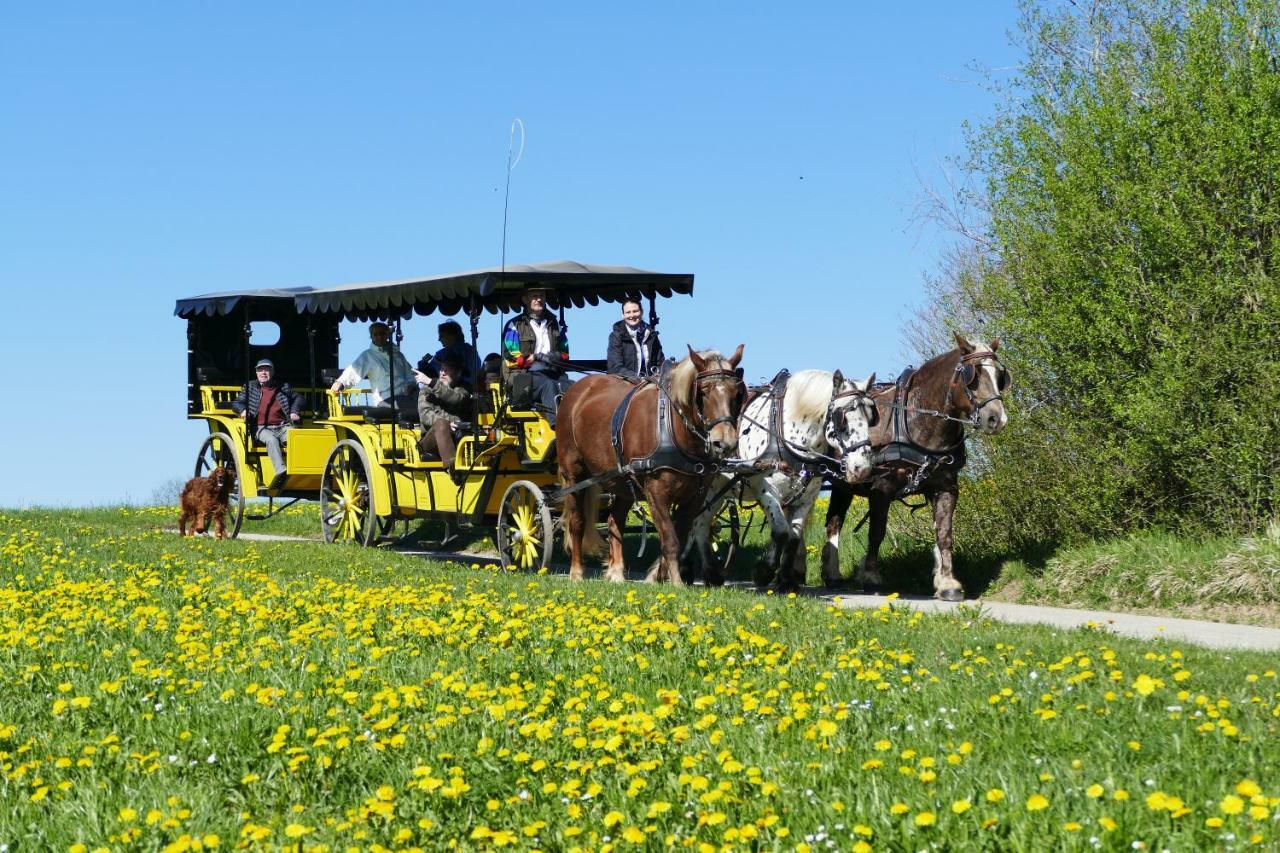 Hotel Alpenhof Bad Wörishofen Eksteriør billede