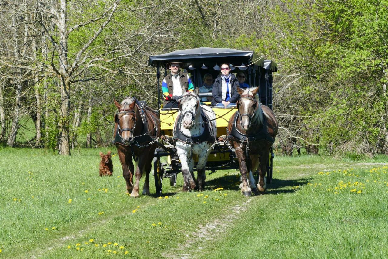 Hotel Alpenhof Bad Wörishofen Eksteriør billede