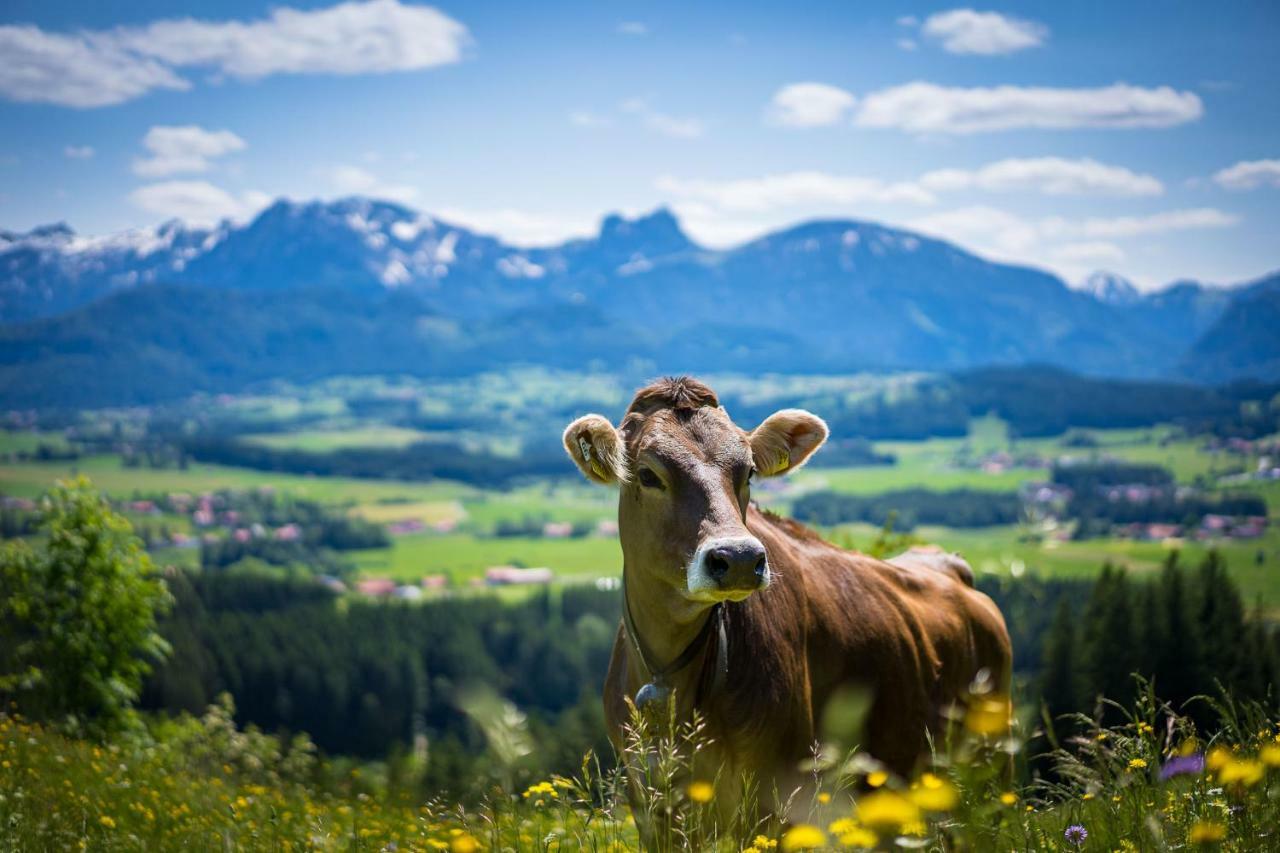 Hotel Alpenhof Bad Wörishofen Eksteriør billede
